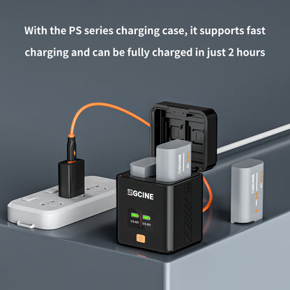 ZGCINE BT-BLK22 Camera Battery for Panasonic LUMIX Camear (2400mAh Grey)