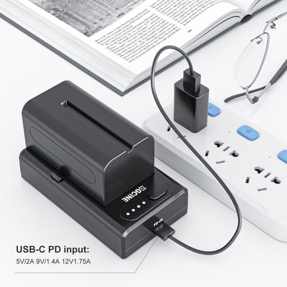 Bộ sạc pin ZGCINE NP-F01